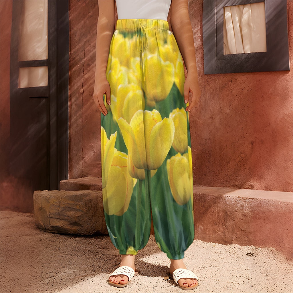 Yellow Tulip Print Harem Pants