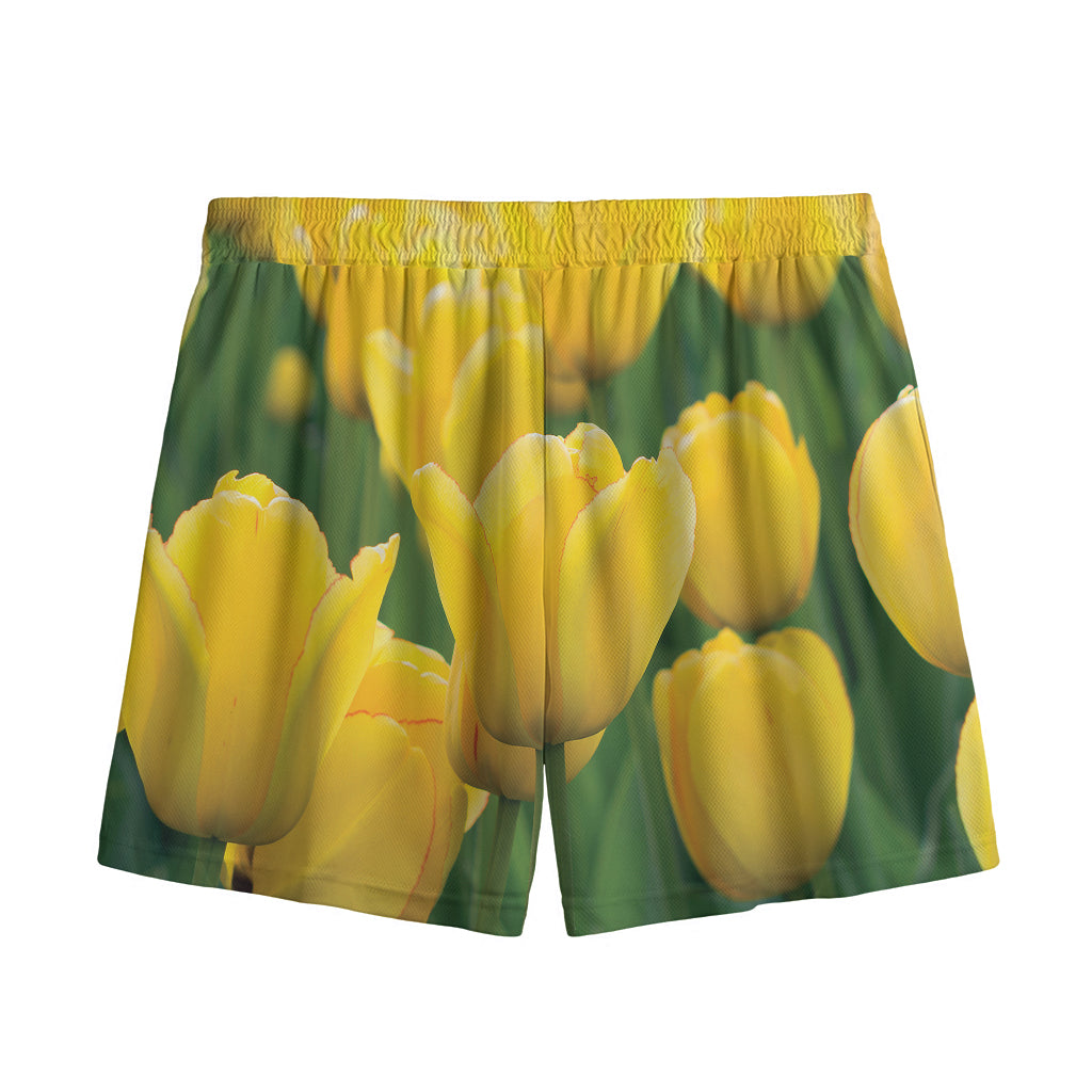 Yellow Tulip Print Mesh Shorts