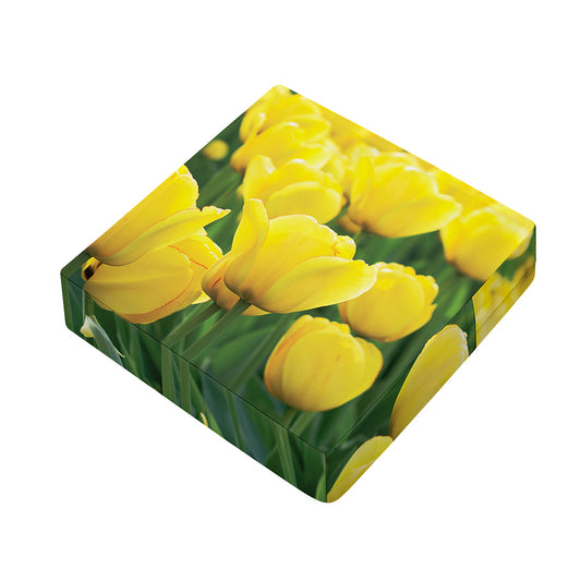 Yellow Tulip Print Outdoor Seat Cushion Cover