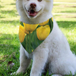 Yellow Tulip Print Over The Collar Dog Bandana