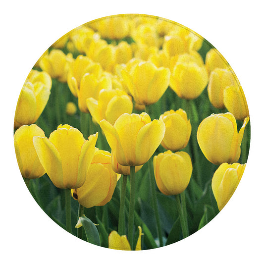 Yellow Tulip Print Round Blanket