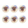 Yorkshire Terrier Portrait Print Coaster Set