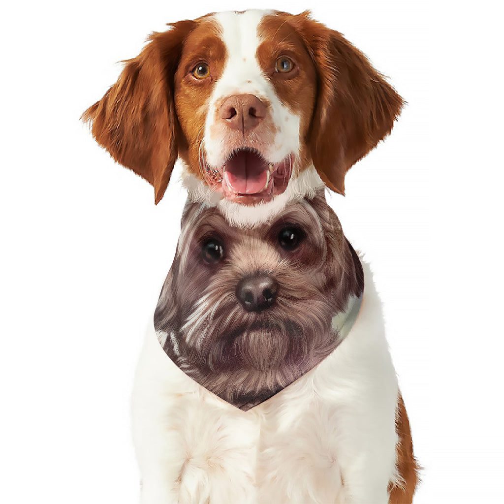 Yorkshire Terrier Portrait Print Dog Bandana