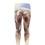 Yorkshire Terrier Portrait Print Men's leggings