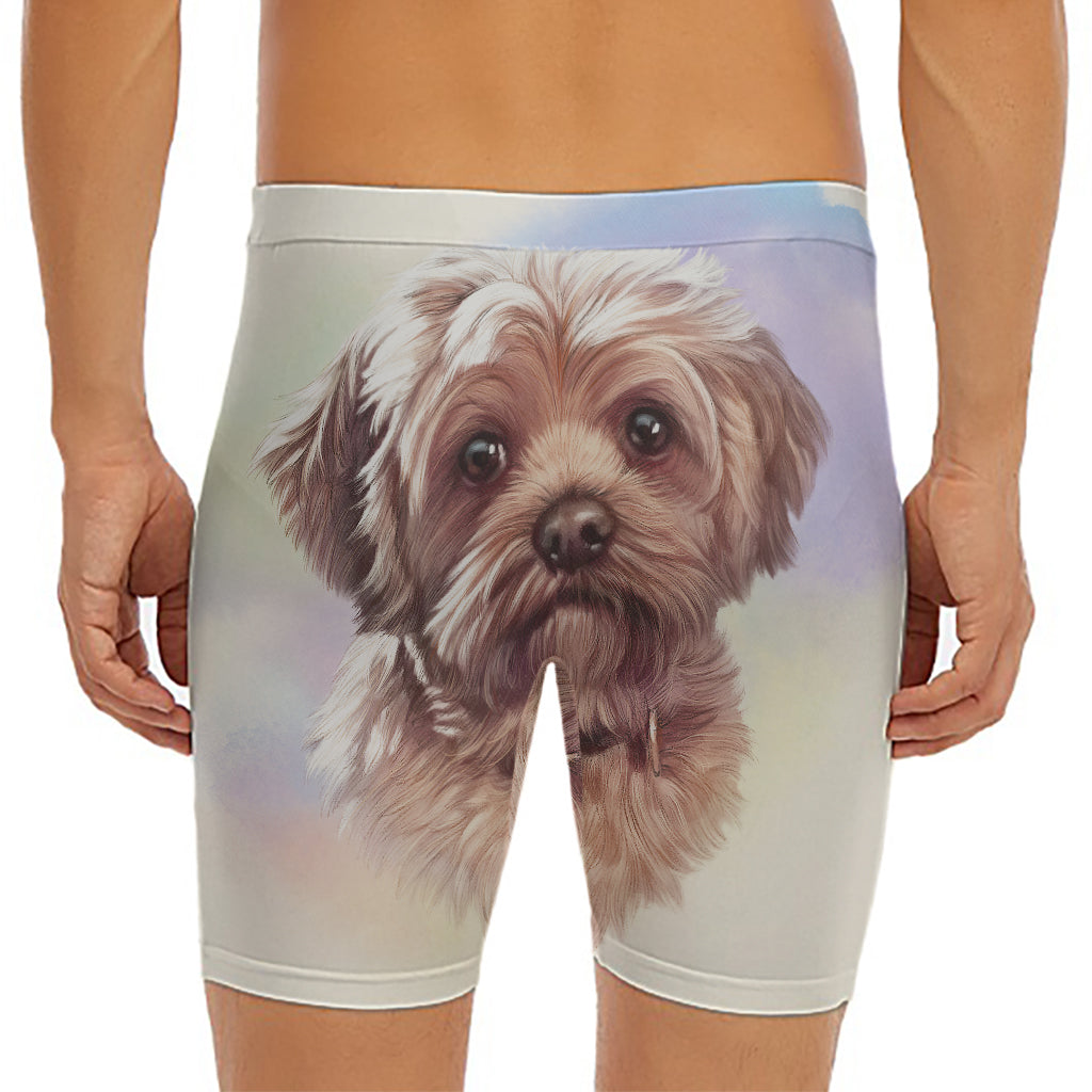Yorkshire Terrier Portrait Print Men's Long Boxer Briefs