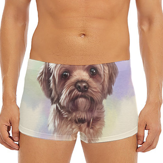 Yorkshire Terrier Portrait Print Men's Short Boxer Briefs