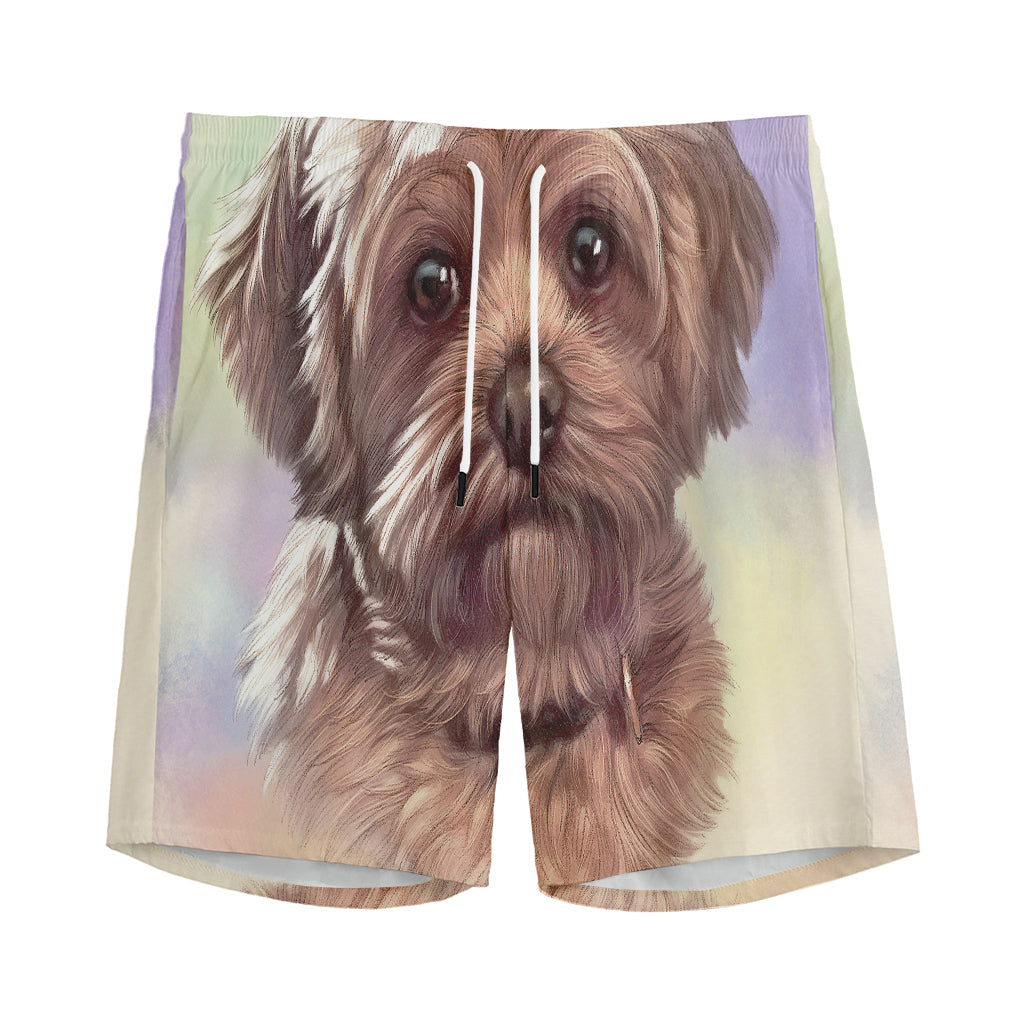 Yorkshire Terrier Portrait Print Men's Sports Shorts