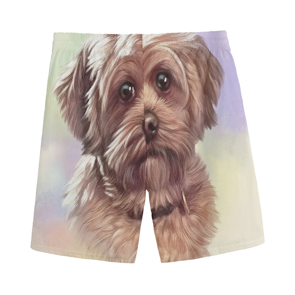 Yorkshire Terrier Portrait Print Men's Sports Shorts