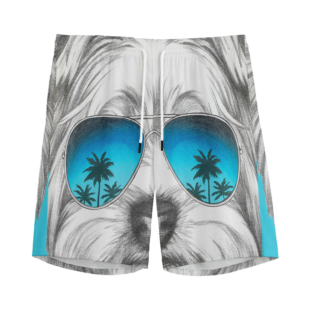 Yorkshire Terrier With Sunglasses Print Men's Sports Shorts