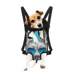 Yorkshire Terrier With Sunglasses Print Pet Carrier Backpack