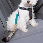 Yummy Gummy Print Dog Seat Belt