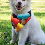 Yummy Gummy Print Over The Collar Dog Bandana