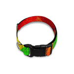 Zig Zag Reggae Pattern Print Dog Collar