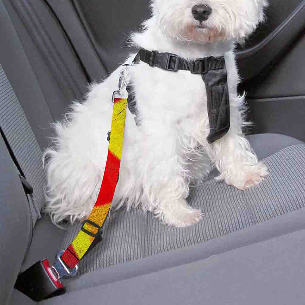 Zig Zag Reggae Pattern Print Dog Seat Belt