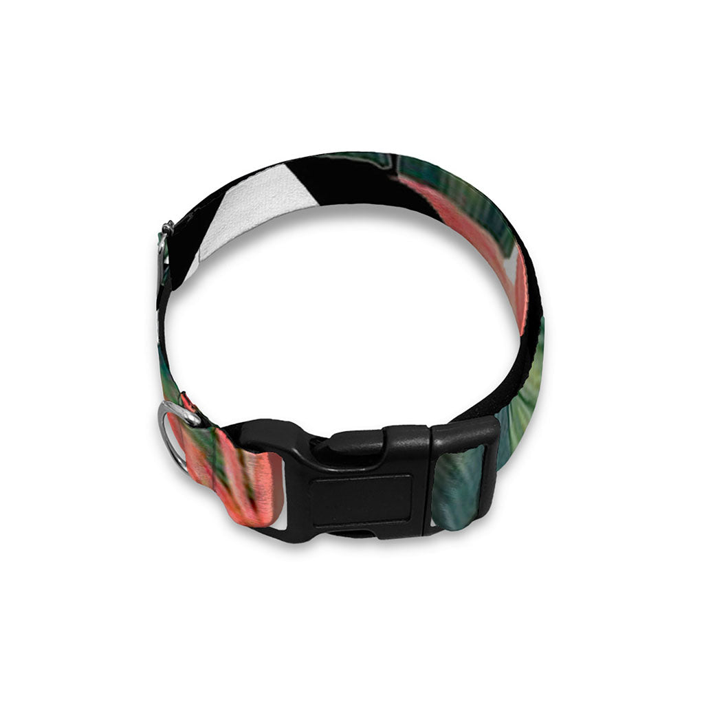 Zig Zag Tropical Pattern Print Dog Collar