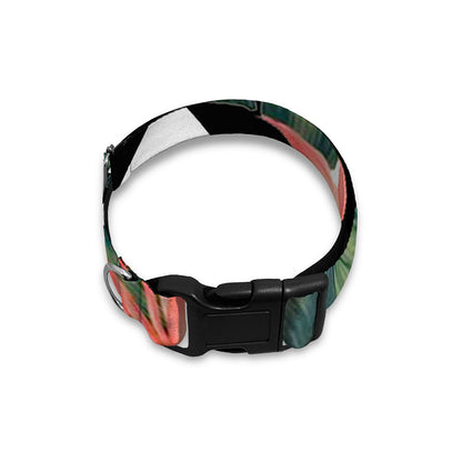 Zig Zag Tropical Pattern Print Dog Collar