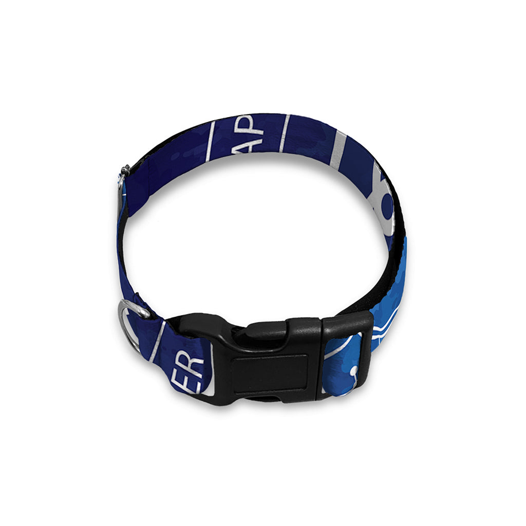 Zodiac Signs Wheel Print Dog Collar