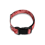 Zombie Brain Print Dog Collar