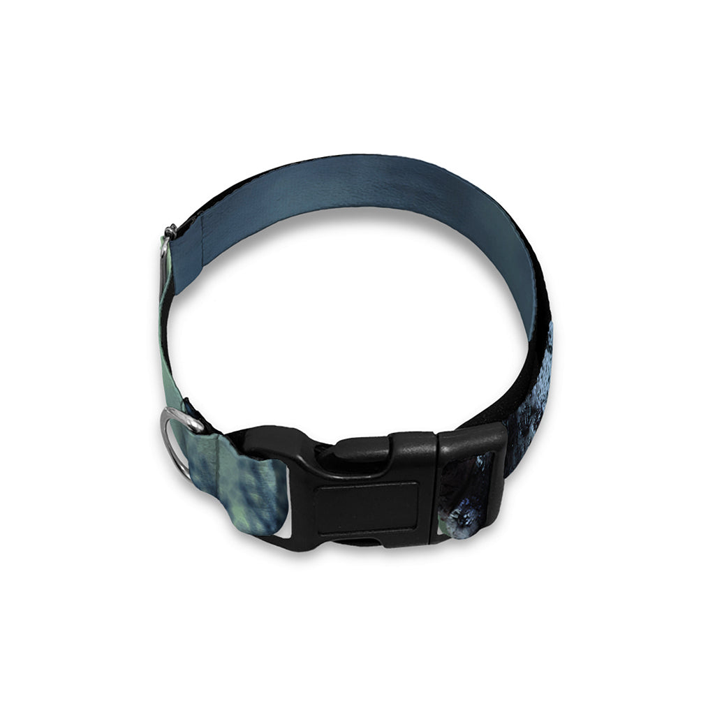 Zombie Hand Rising From Grave Print Dog Collar