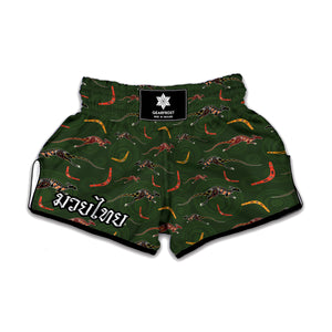 Aboriginal Boomerang And Kangaroo Print Muay Thai Boxing Shorts