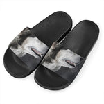 Alaskan Malamute Painting Print Black Slide Sandals