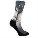 Alaskan Malamute Painting Print Crew Socks