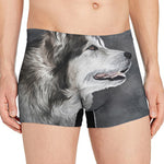 Alaskan Malamute Painting Print Men's Boxer Briefs