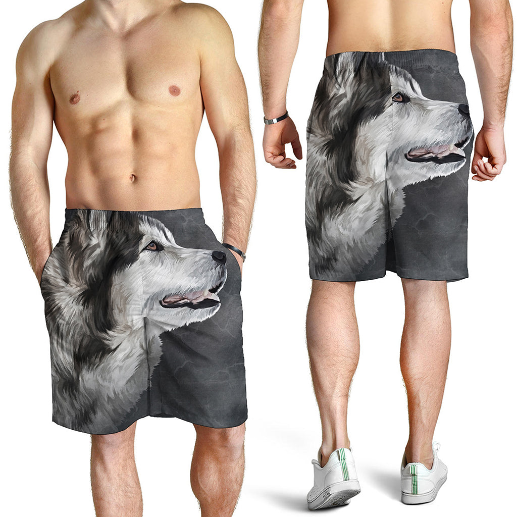 Alaskan Malamute Painting Print Men's Shorts