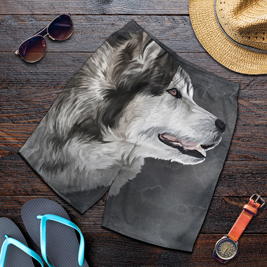 Alaskan Malamute Painting Print Men's Shorts