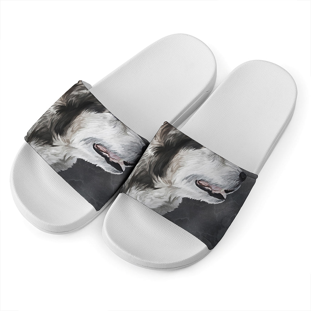Alaskan Malamute Painting Print White Slide Sandals