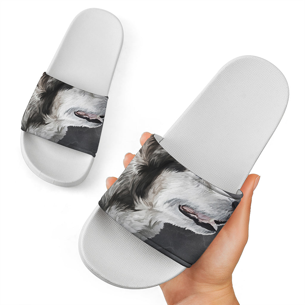Alaskan Malamute Painting Print White Slide Sandals