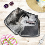 Alaskan Malamute Painting Print Women's Shorts