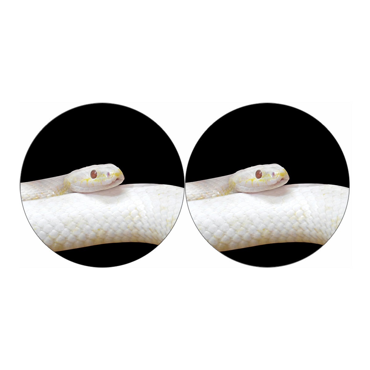 Albino Snake Print Car Coasters