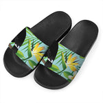 Aloha Keel-Billed Toucan Print Black Slide Sandals