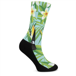 Aloha Keel-Billed Toucan Print Crew Socks