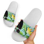 Aloha Keel-Billed Toucan Print White Slide Sandals