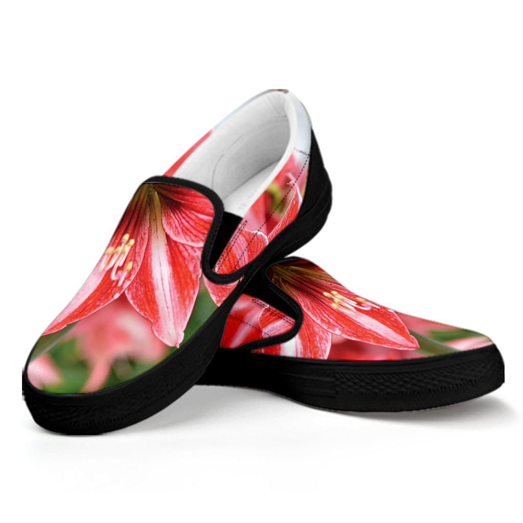 Amaryllis Flower Print Black Slip On Shoes