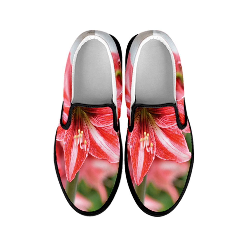 Amaryllis Flower Print Black Slip On Shoes