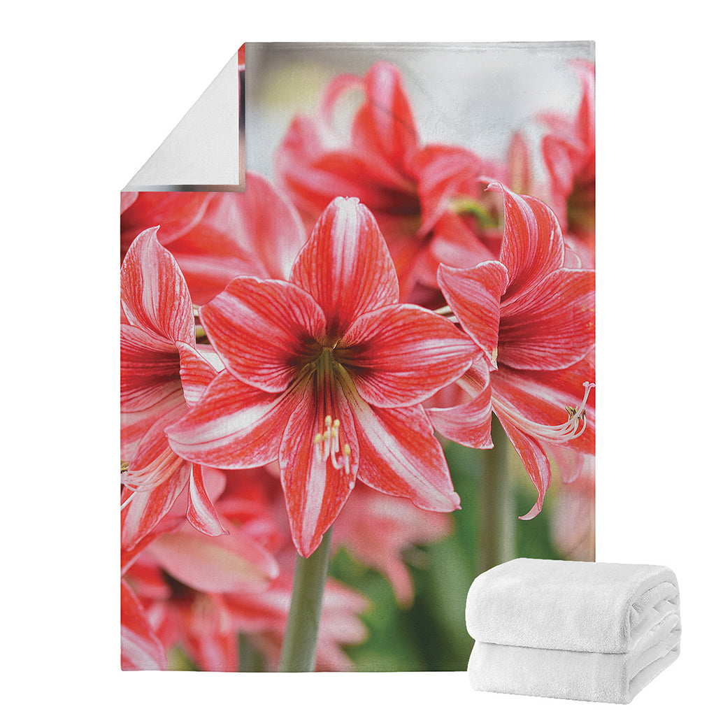 Amaryllis Flower Print Blanket