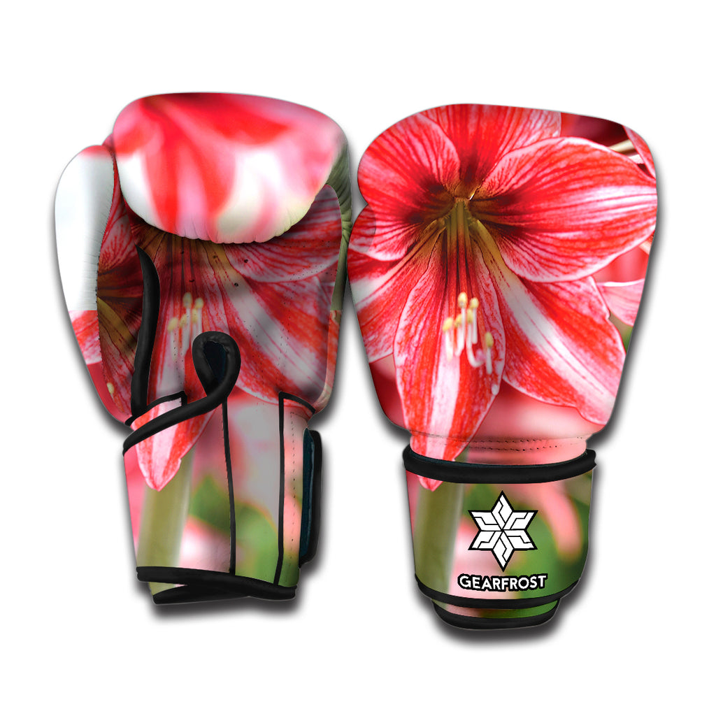 Amaryllis Flower Print Boxing Gloves
