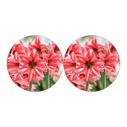 Amaryllis Flower Print Car Coasters