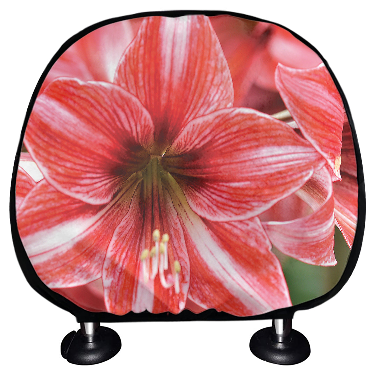 Amaryllis Flower Print Car Headrest Covers