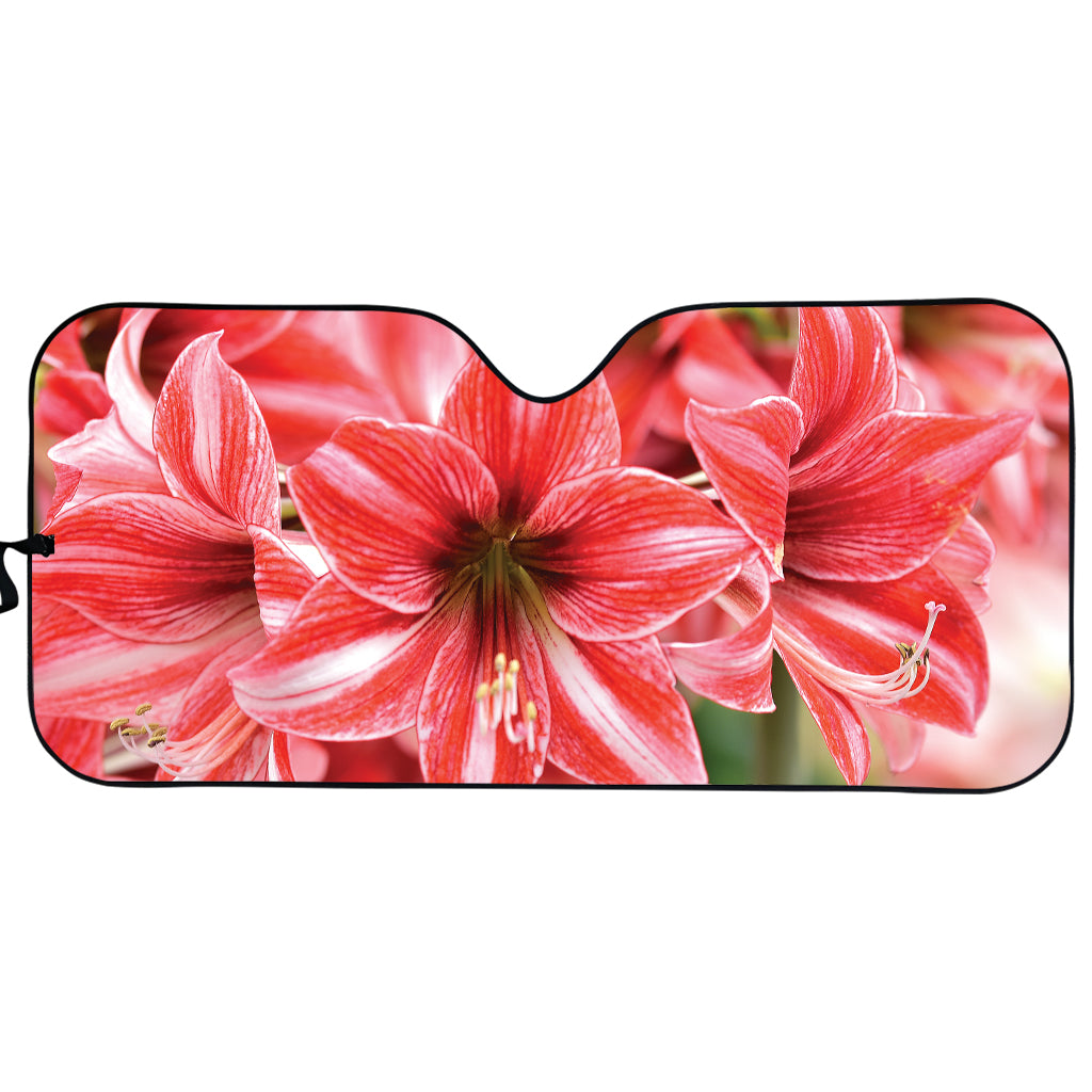 Amaryllis Flower Print Car Sun Shade