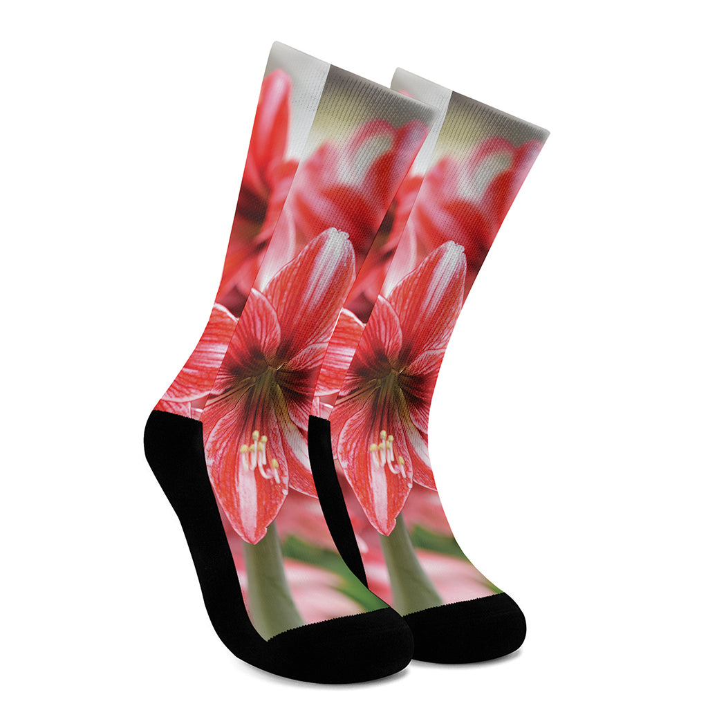 Amaryllis Flower Print Crew Socks