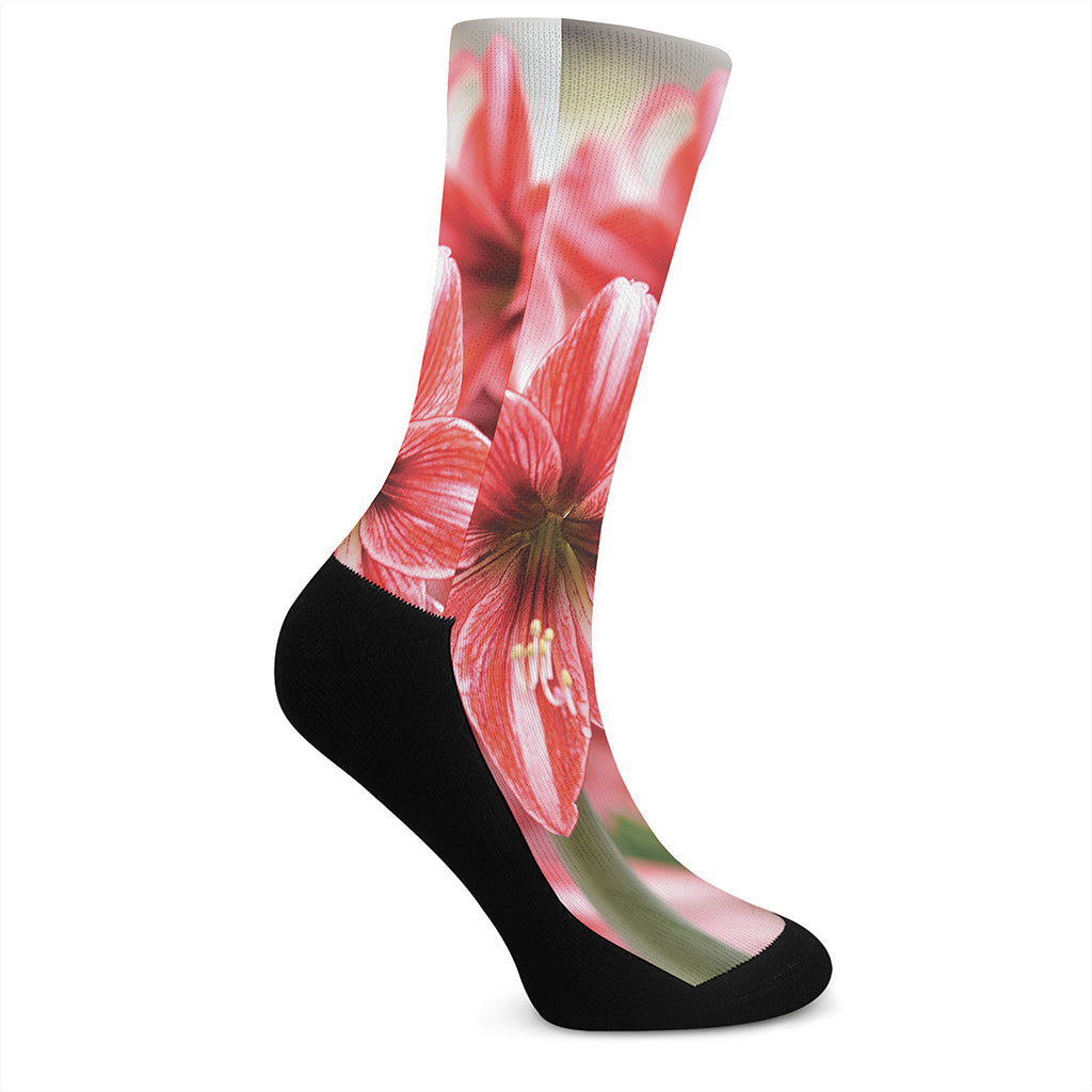 Amaryllis Flower Print Crew Socks