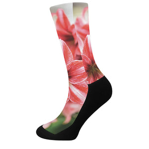 Amaryllis Flower Print Crew Socks