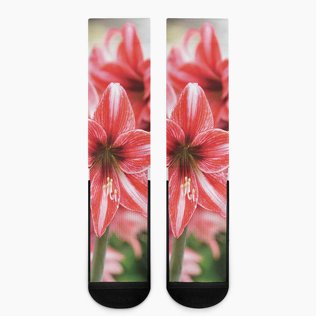 Amaryllis Flower Print Crew Socks