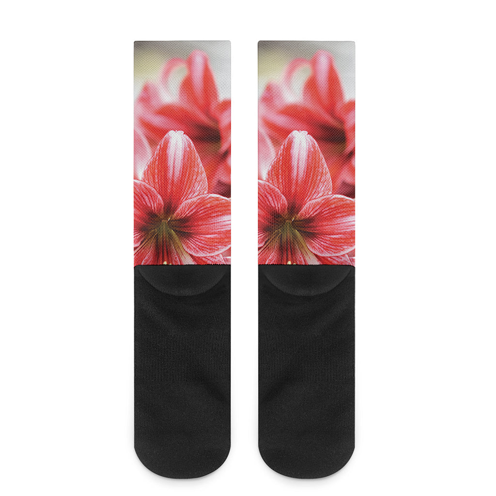 Amaryllis Flower Print Crew Socks