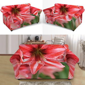 Amaryllis Flower Print Loveseat Slipcover