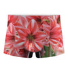 Amaryllis Flower Print Men's Boxer Briefs